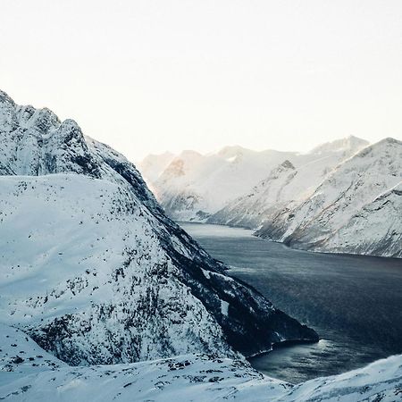 Unik Leilighet I Alesund Sentrum エクステリア 写真